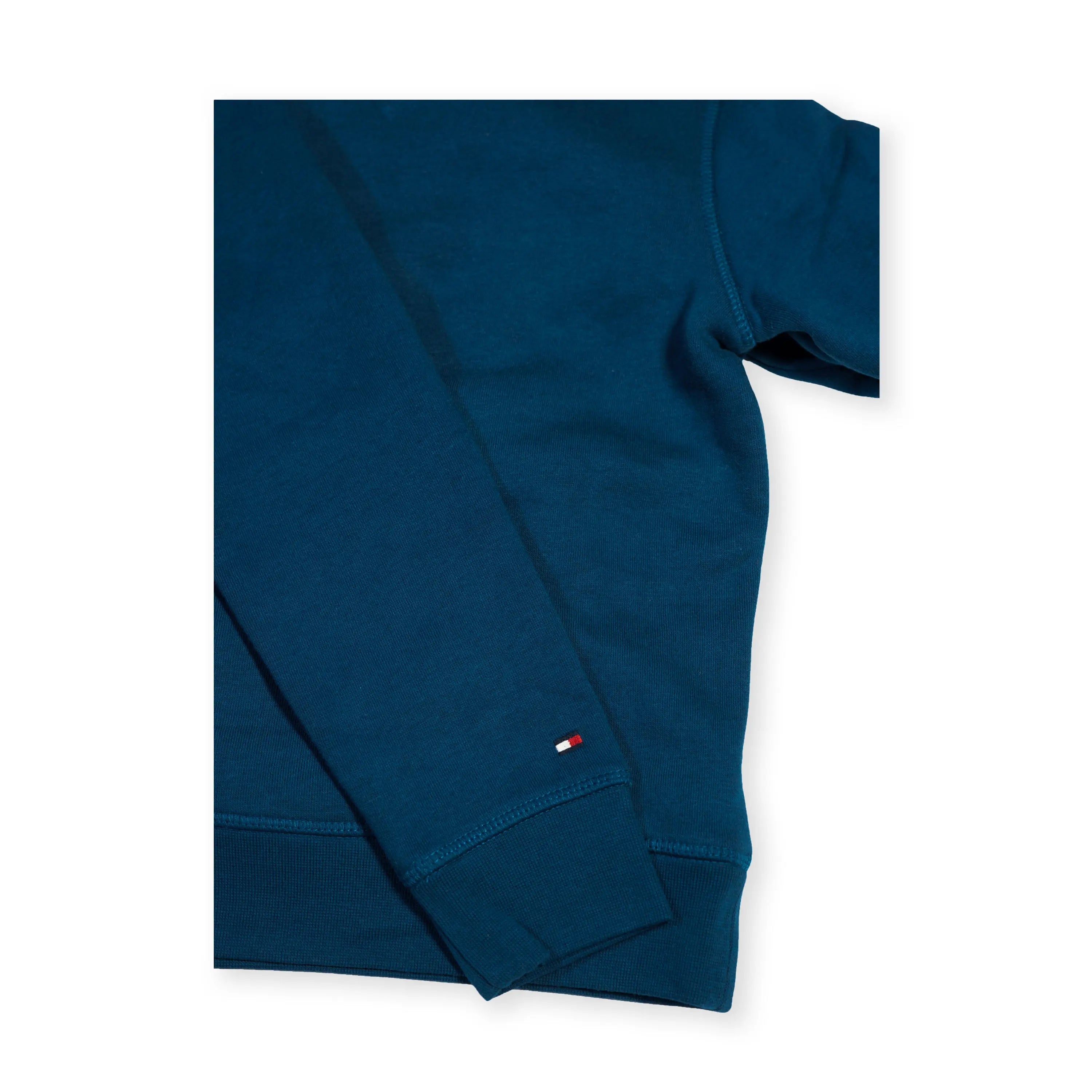 Tommy Hilfiger Logo Kid's Hoodie – Teal Tommynippon