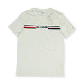 Tommy Hilfiger Men's Logo Stripe T-Shirt – White Tommynippon
