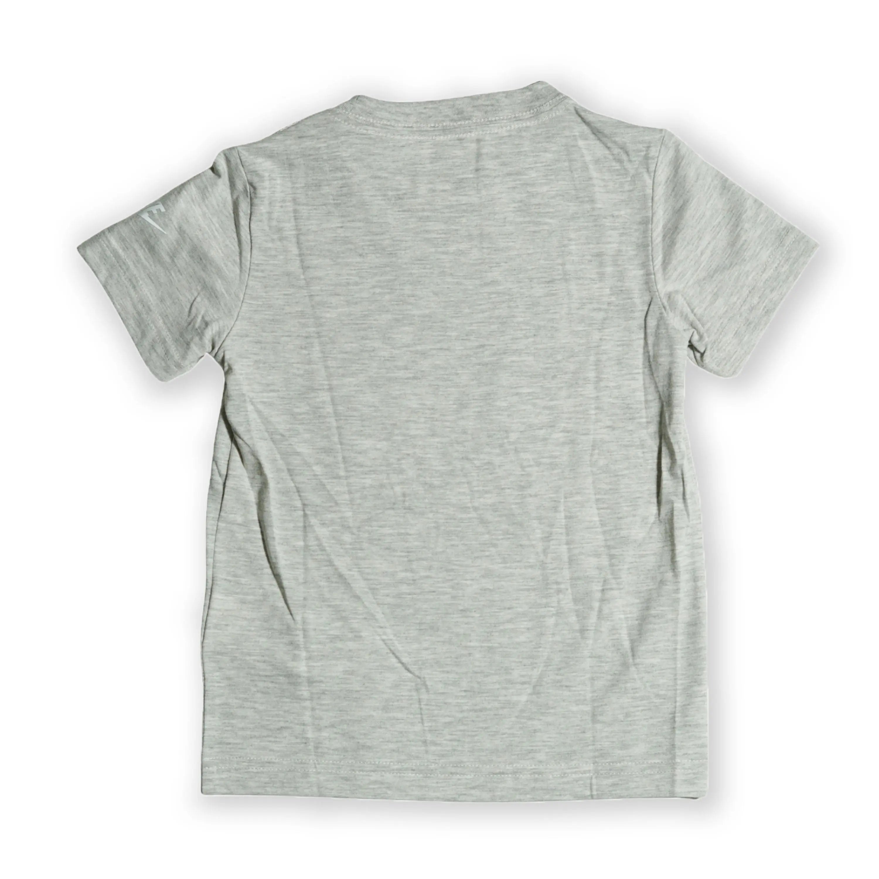 Nike Kids Graphic Logo T-Shirt – Light Grey Tommynippon