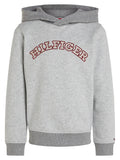 Tommy Hilfiger Boys Hooded Sweatshirt – Grey